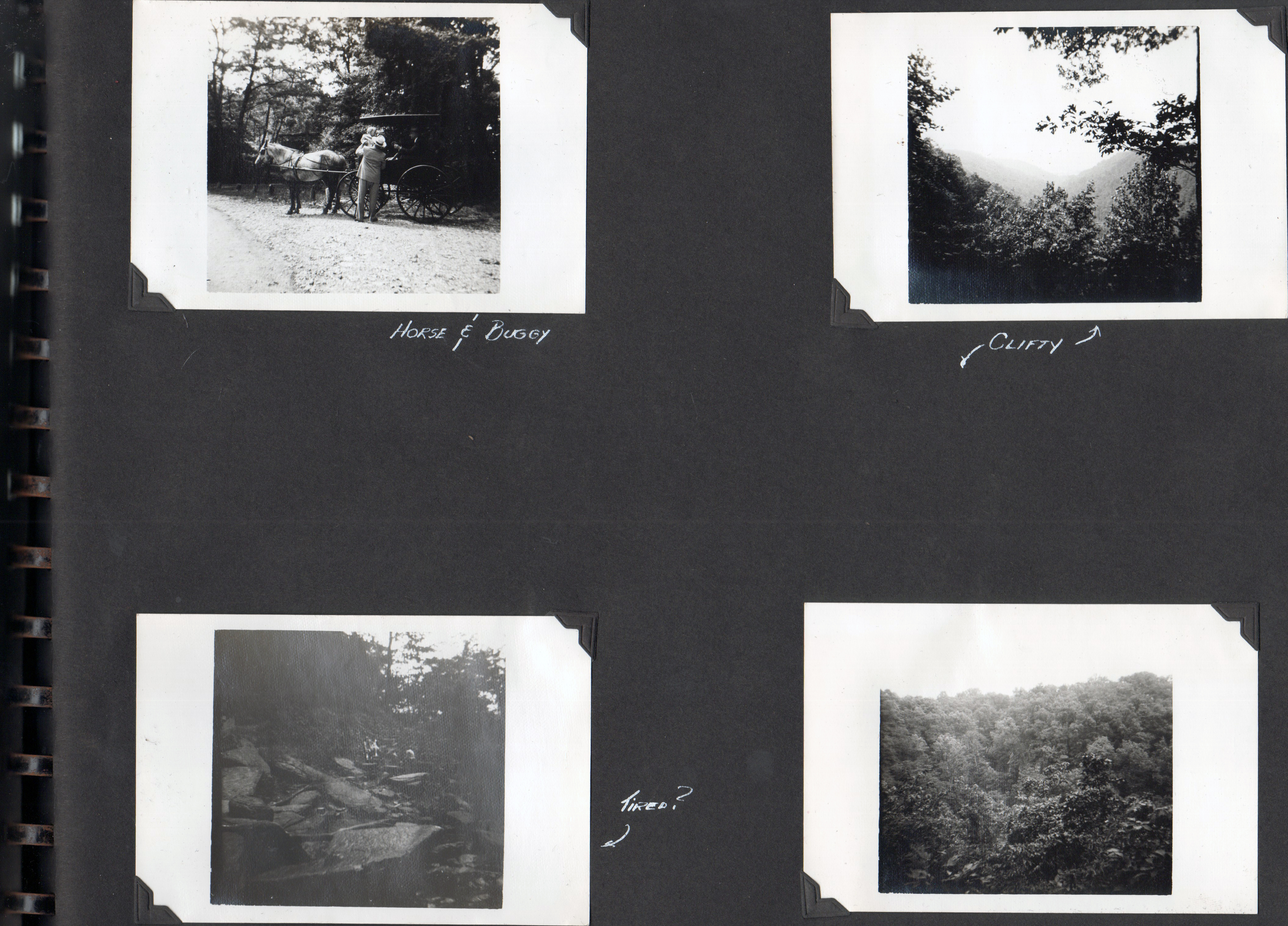 Horse & Buggy. Clifty. Tired?