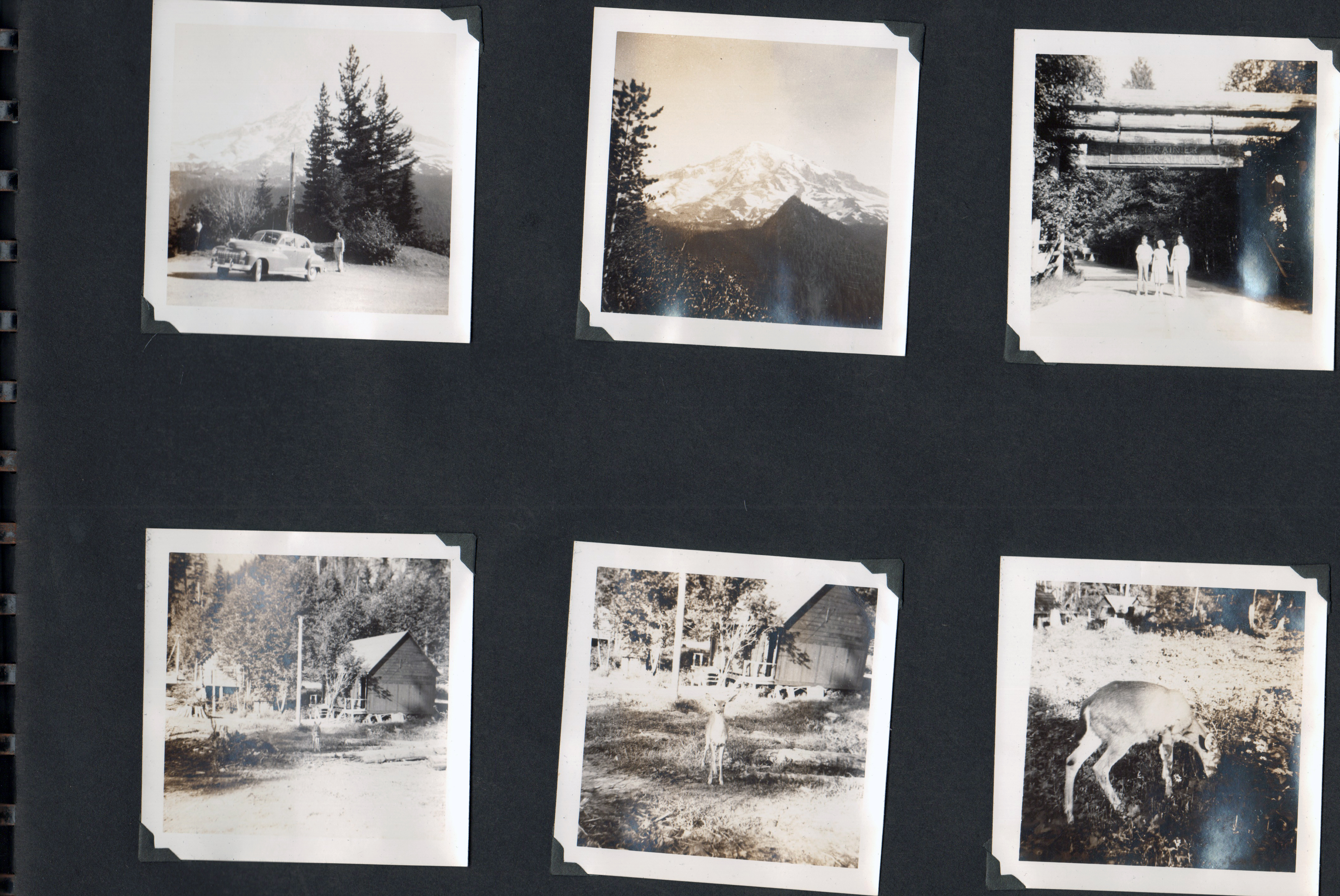 (Mt Rainier - Glen, Helen, Girstle)