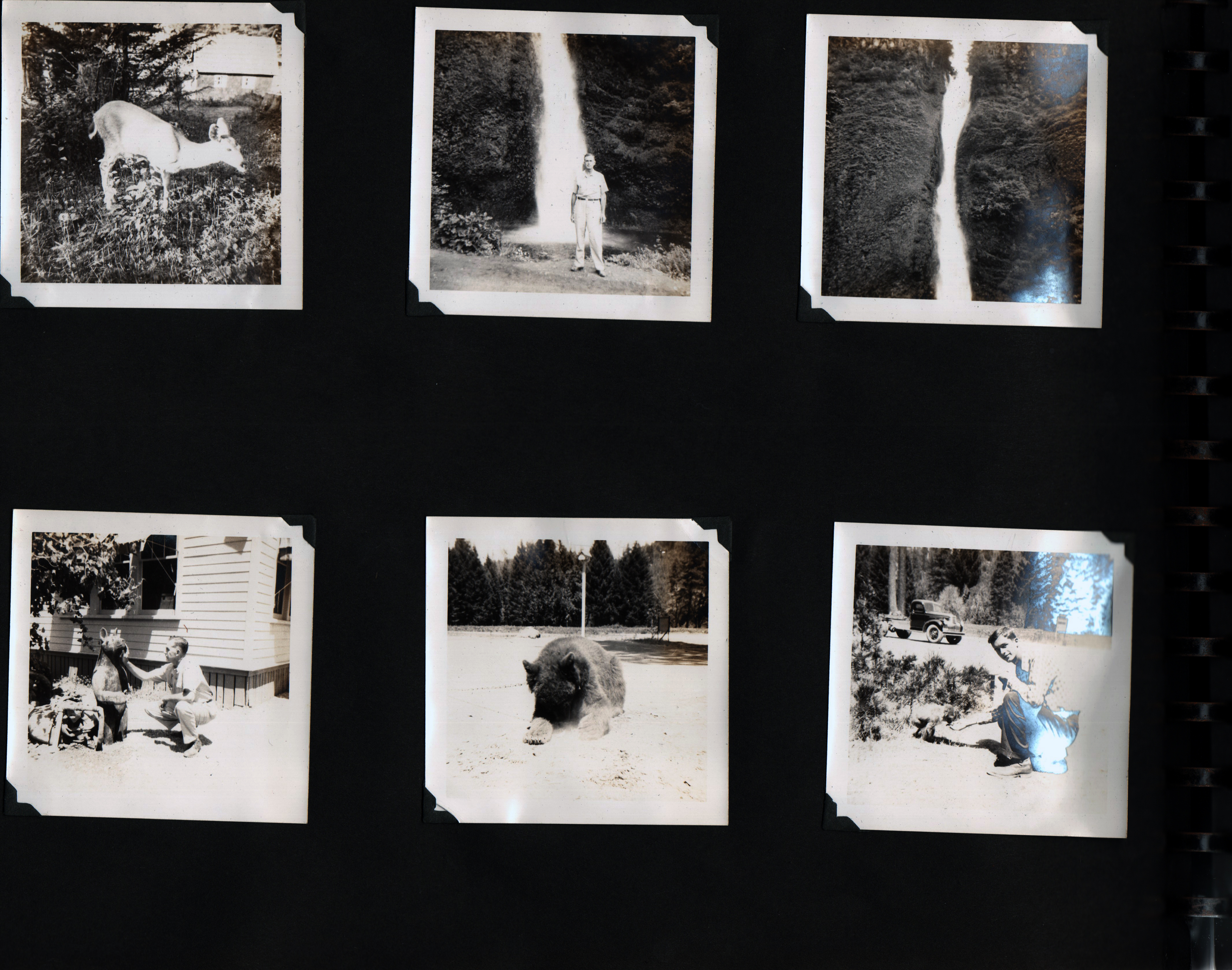 (Waterfall - Girstle. Bear. John)