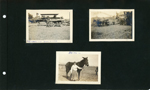 Threshing machine. Edith with horse.