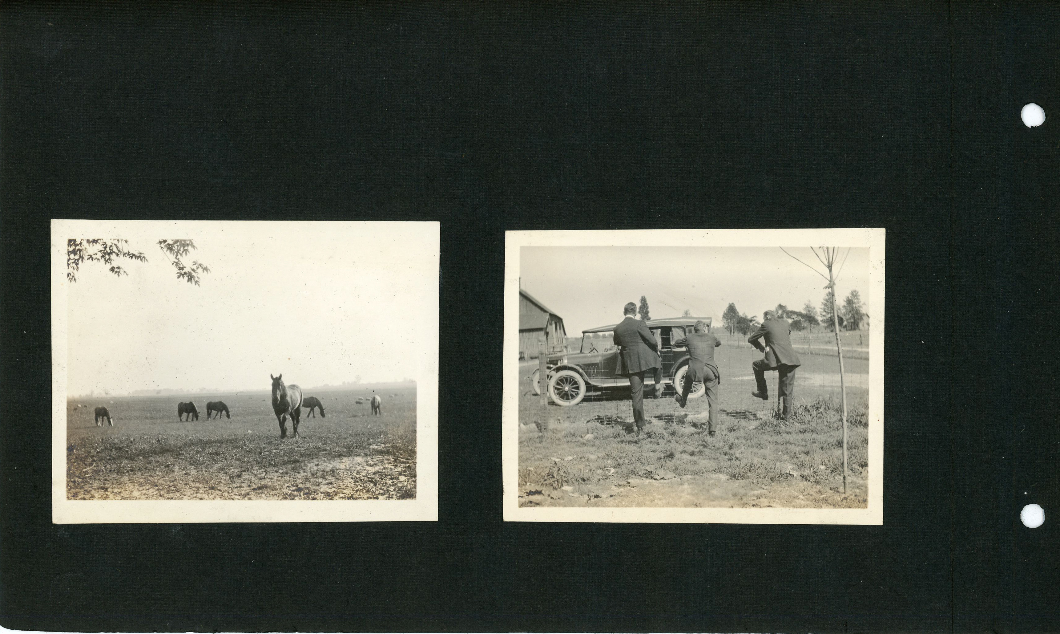 newspaper clipping - newspaper clipping - newspaper clipping - newspaper clipping - newspaper clipping - newspaper clipping - 