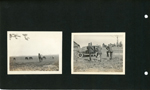 horses. looks like Girstle with two others, feet up on fence looking at car. 