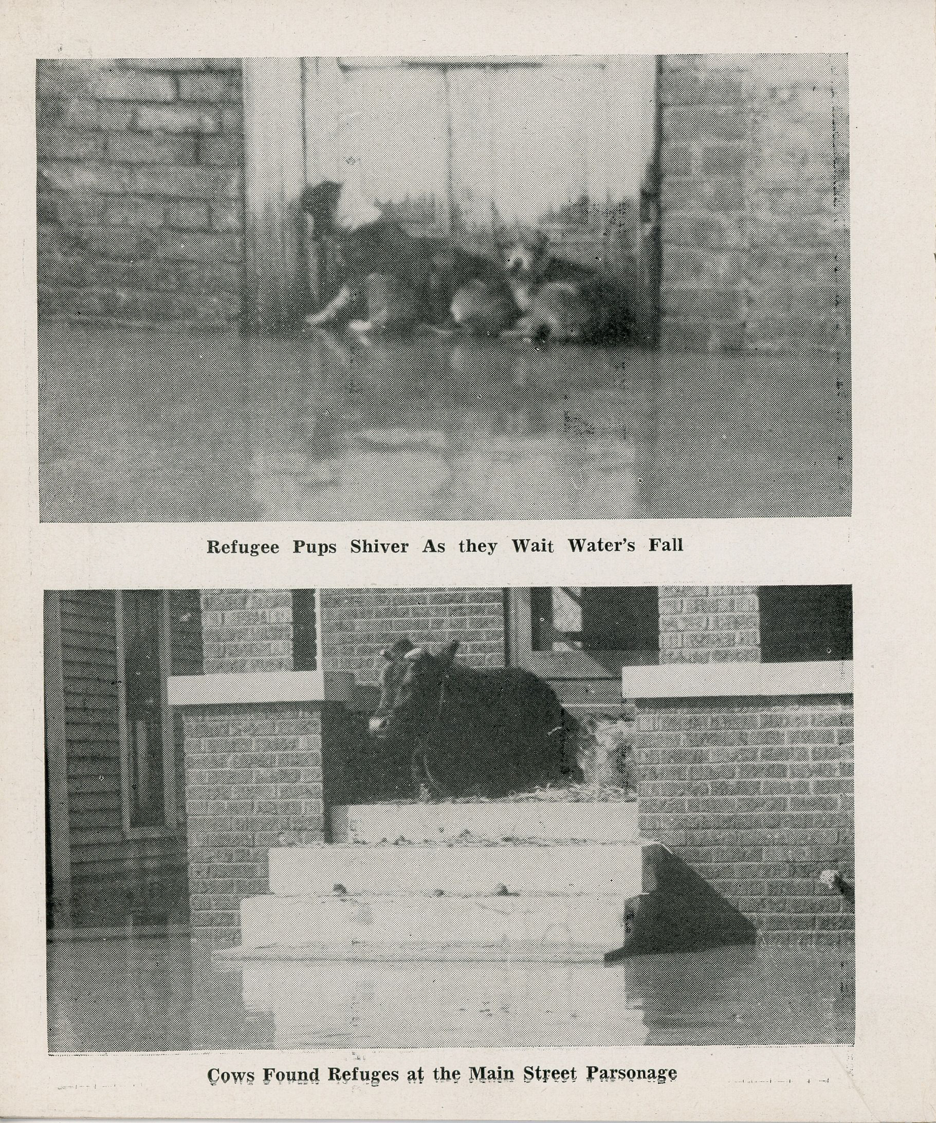 newspaper clipping - newspaper clipping - newspaper clipping - newspaper clipping - newspaper clipping - newspaper clipping - 