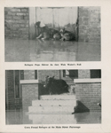 New Albany Ledger - 1937 Flood Souvenir Booklet
