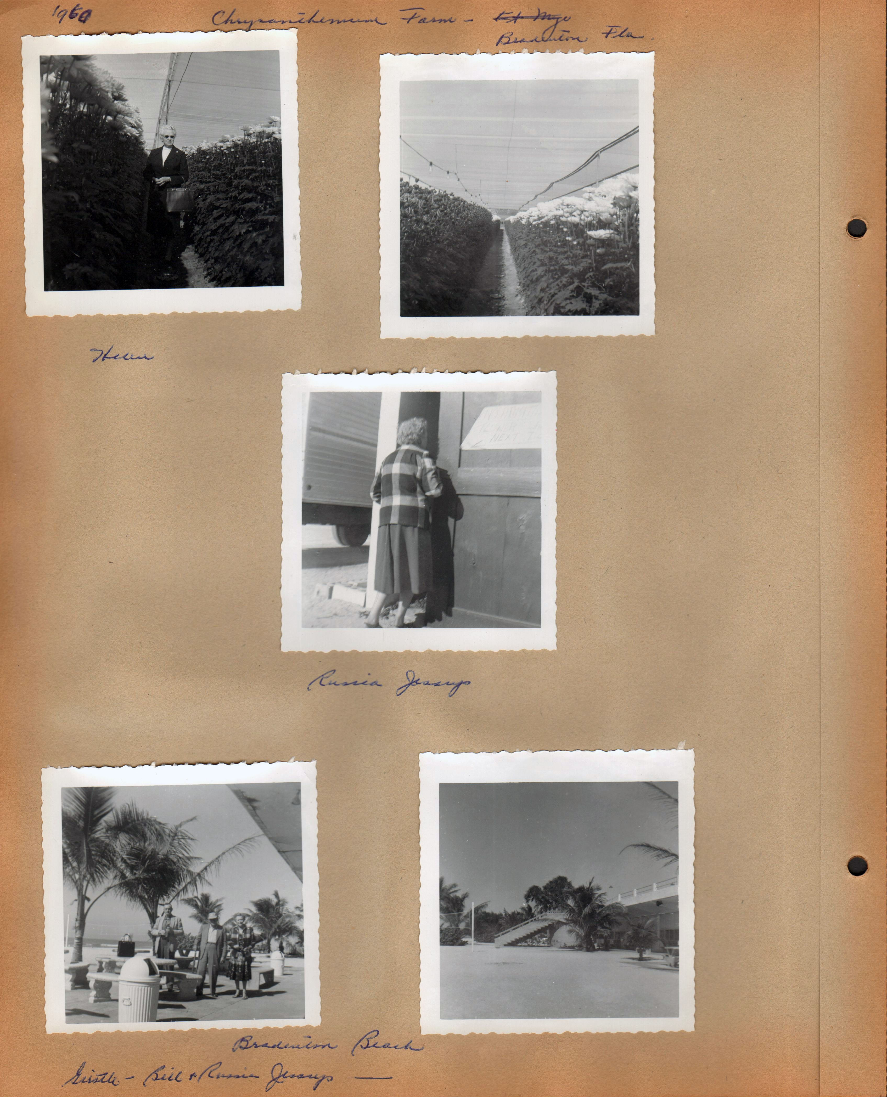 1960 - Chrysanthemum Farm - Bradenton, Fla. Helen. Russia Jessup. Bradenton Beach. Girstle - Bill + Russia Jessup.