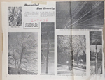 newspaper clipping -  1976 ice storm