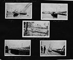 Government Locks - Seattle, Wash. / Barge / Lock's opening / Reindeer at Woodland Park / Old lumber