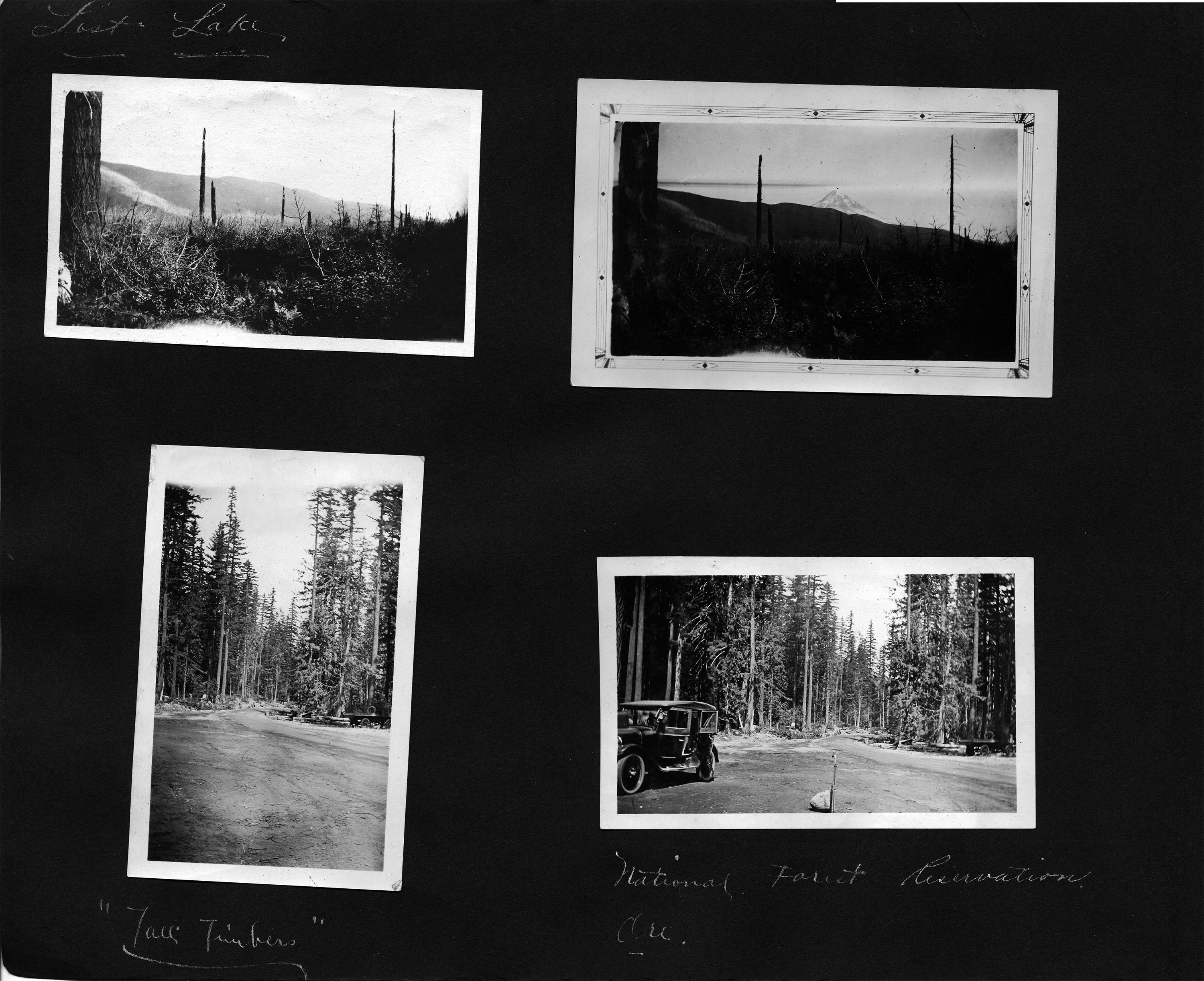 Lost Lake / Tall timbers / National Forest Reservation Ore.