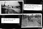 Nora Dawson, driving CATTLE Across the road to pasture at 8815 Haverstick Road / Pet Bull - here on the farm. Lane back of barn