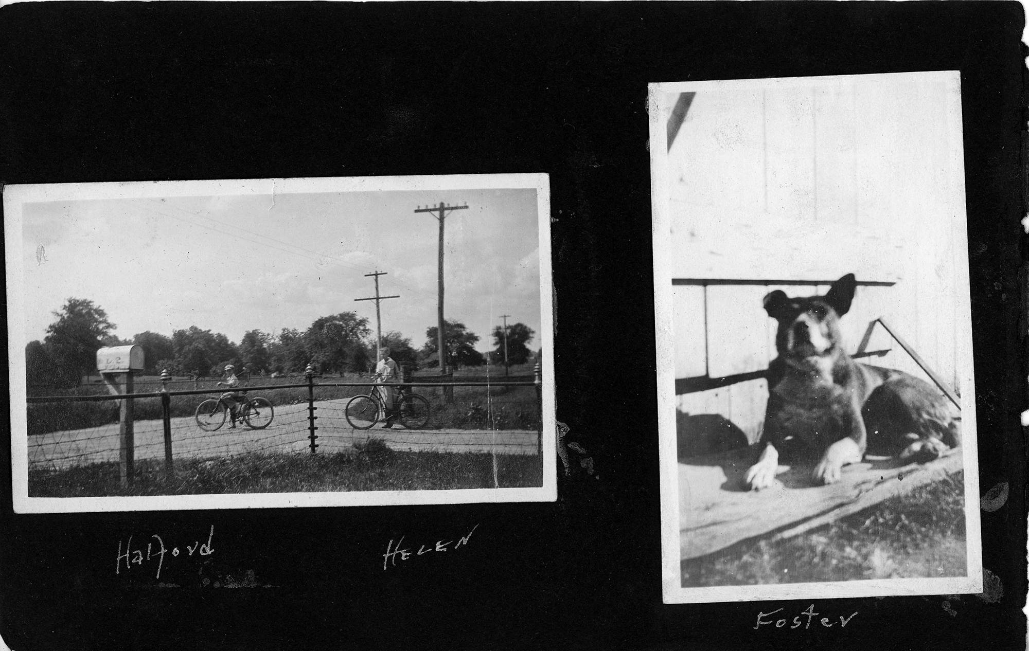 Halford, Helen / Foster
