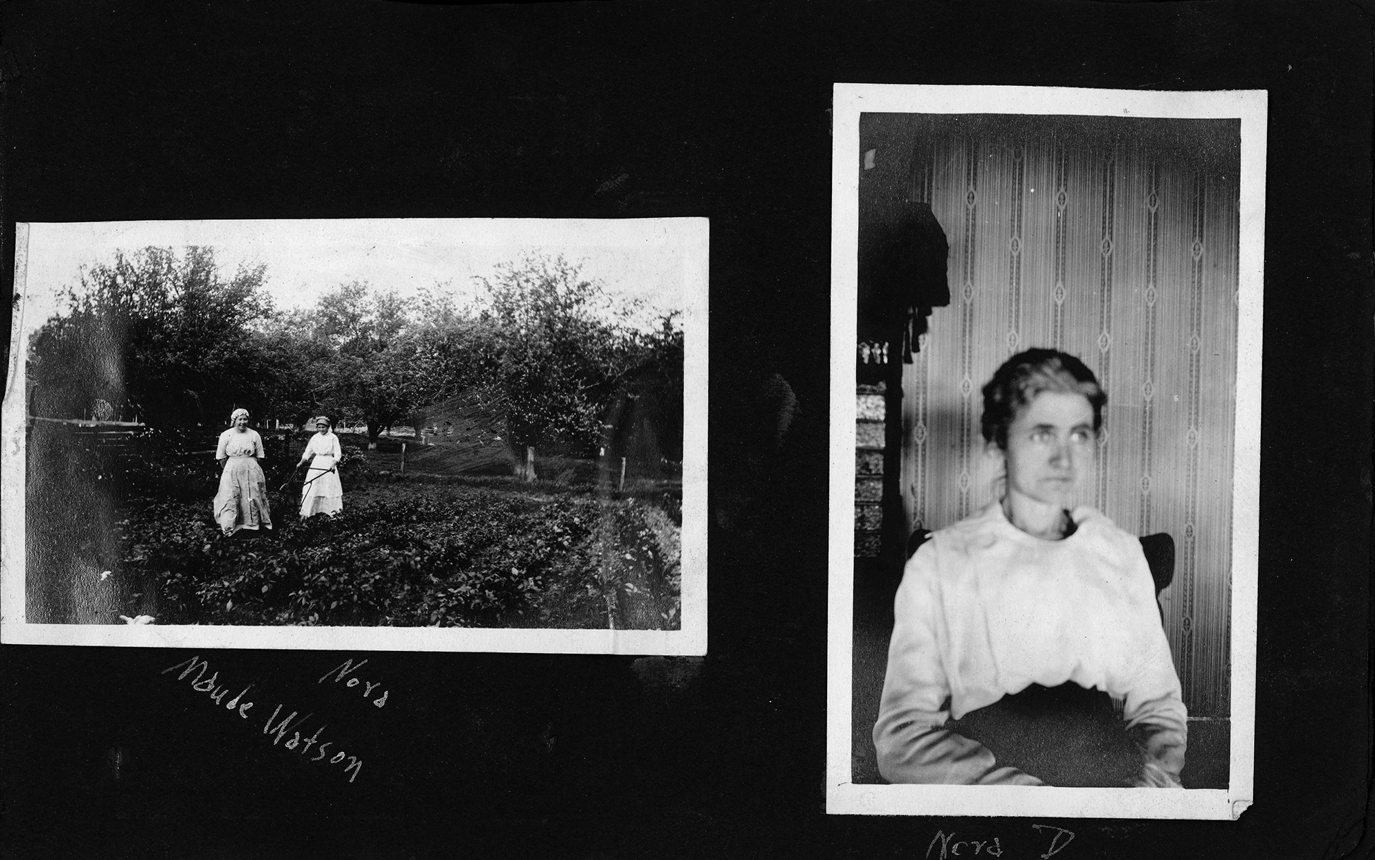 Maude Watson, Nora / Nora D.