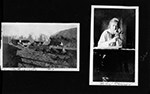 Fatting cattle - 1917 / Helen Dawson