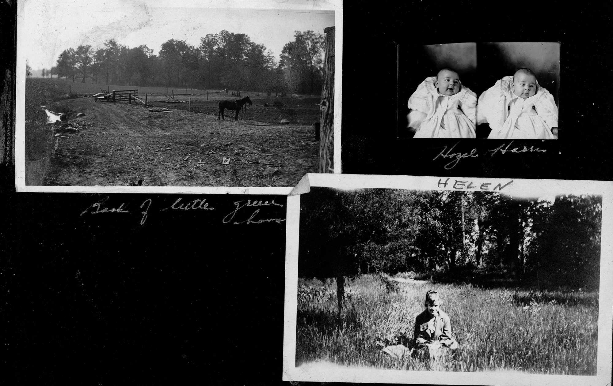 Back of little green house / Hazel Harris / Helen