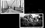 River bridge Road 100 - Helen / Tub, Franklin Kerr, Warren Dawson - Oliver - Dogs