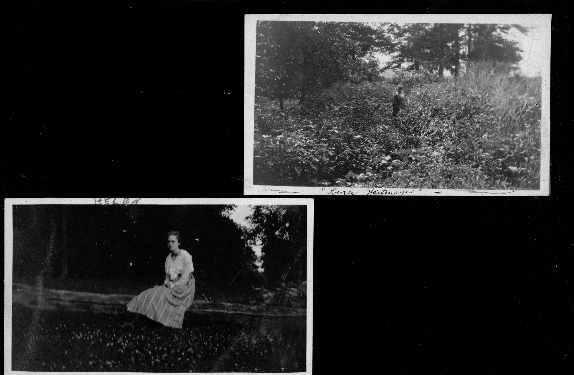 Helen / Leah Heitmeyer