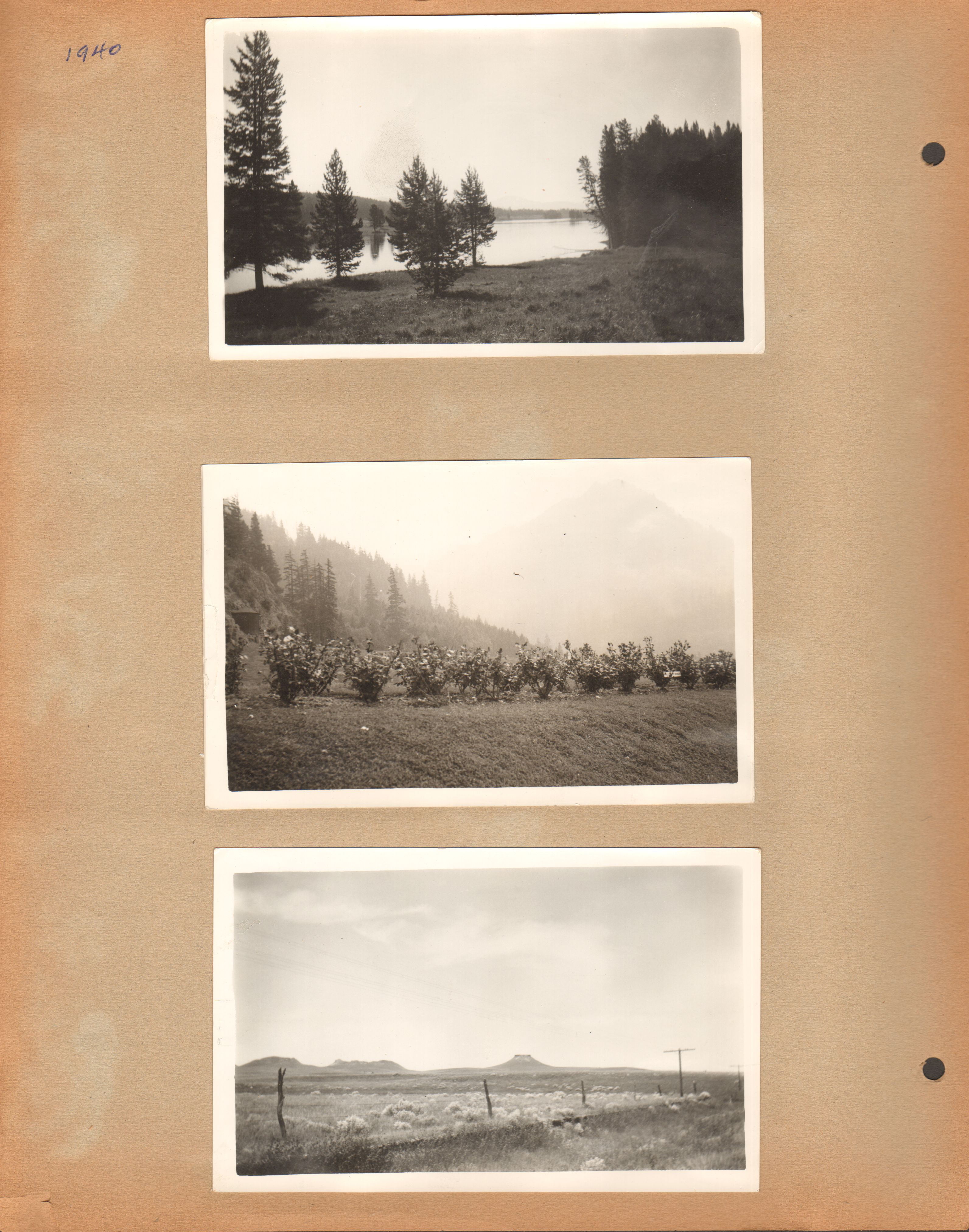 newspaper clipping - newspaper clipping - newspaper clipping - newspaper clipping - newspaper clipping - newspaper clipping - 