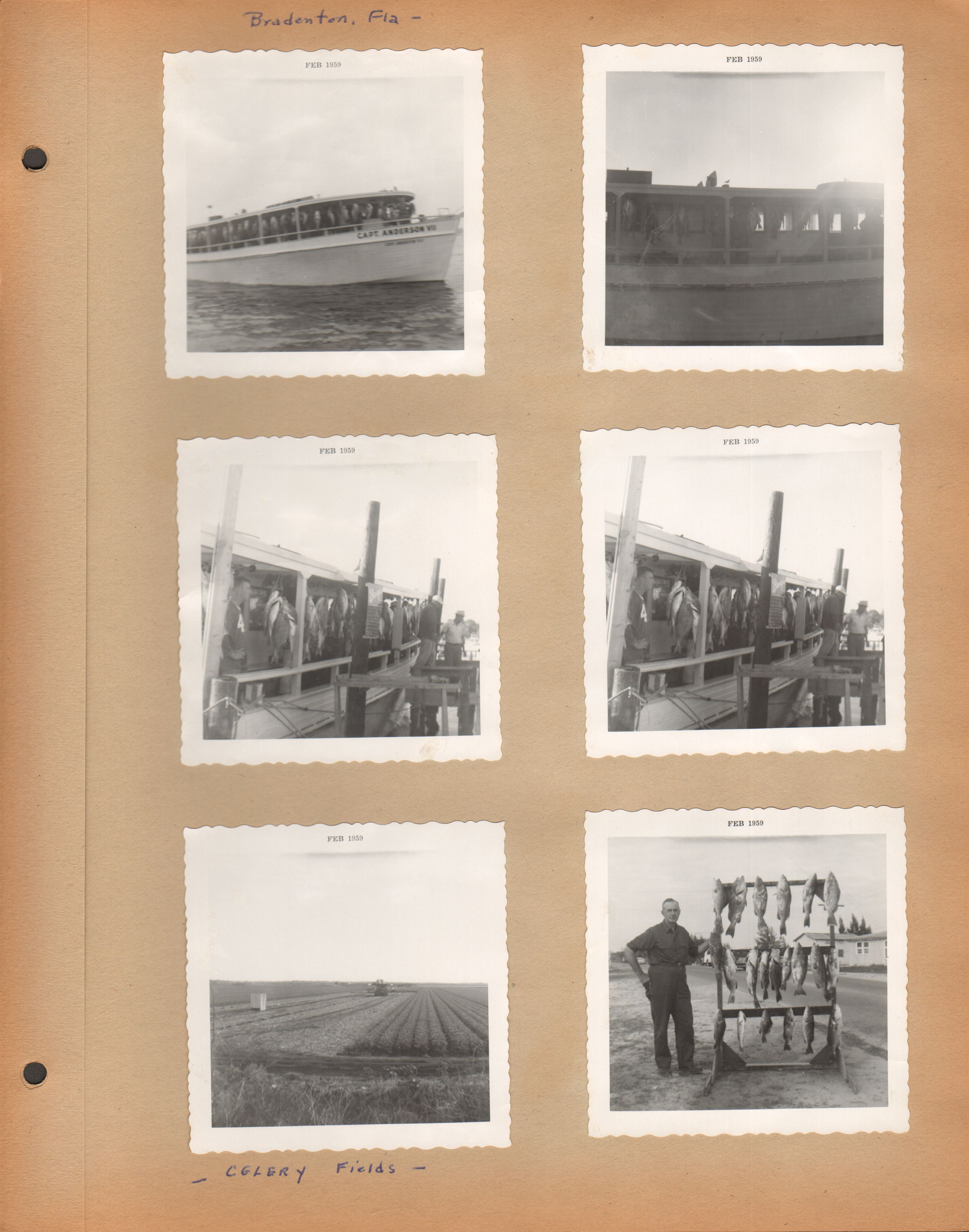 newspaper clipping - newspaper clipping - newspaper clipping - newspaper clipping - newspaper clipping - newspaper clipping - 