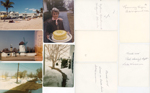Neptune Apts Hollywood Florida, Indianapolis Childrens Zoo, Lake Wawasee rear, Rosemary with cake, Wawasee after snow.