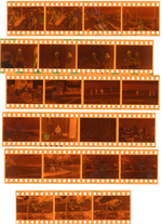 negatives - Hollywood Florida. Neptune. 