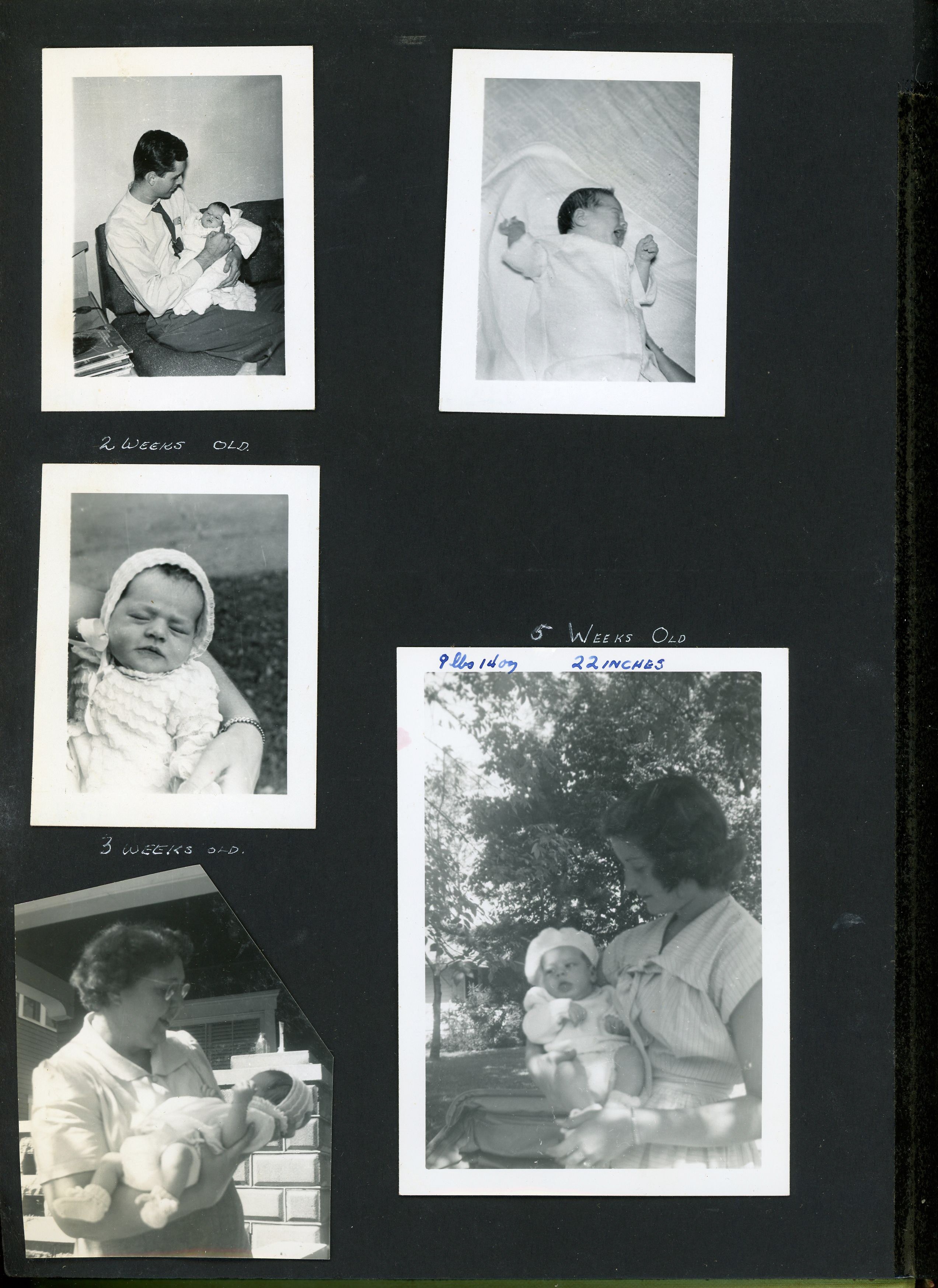 newspaper clipping - newspaper clipping - newspaper clipping - newspaper clipping - newspaper clipping - newspaper clipping - 