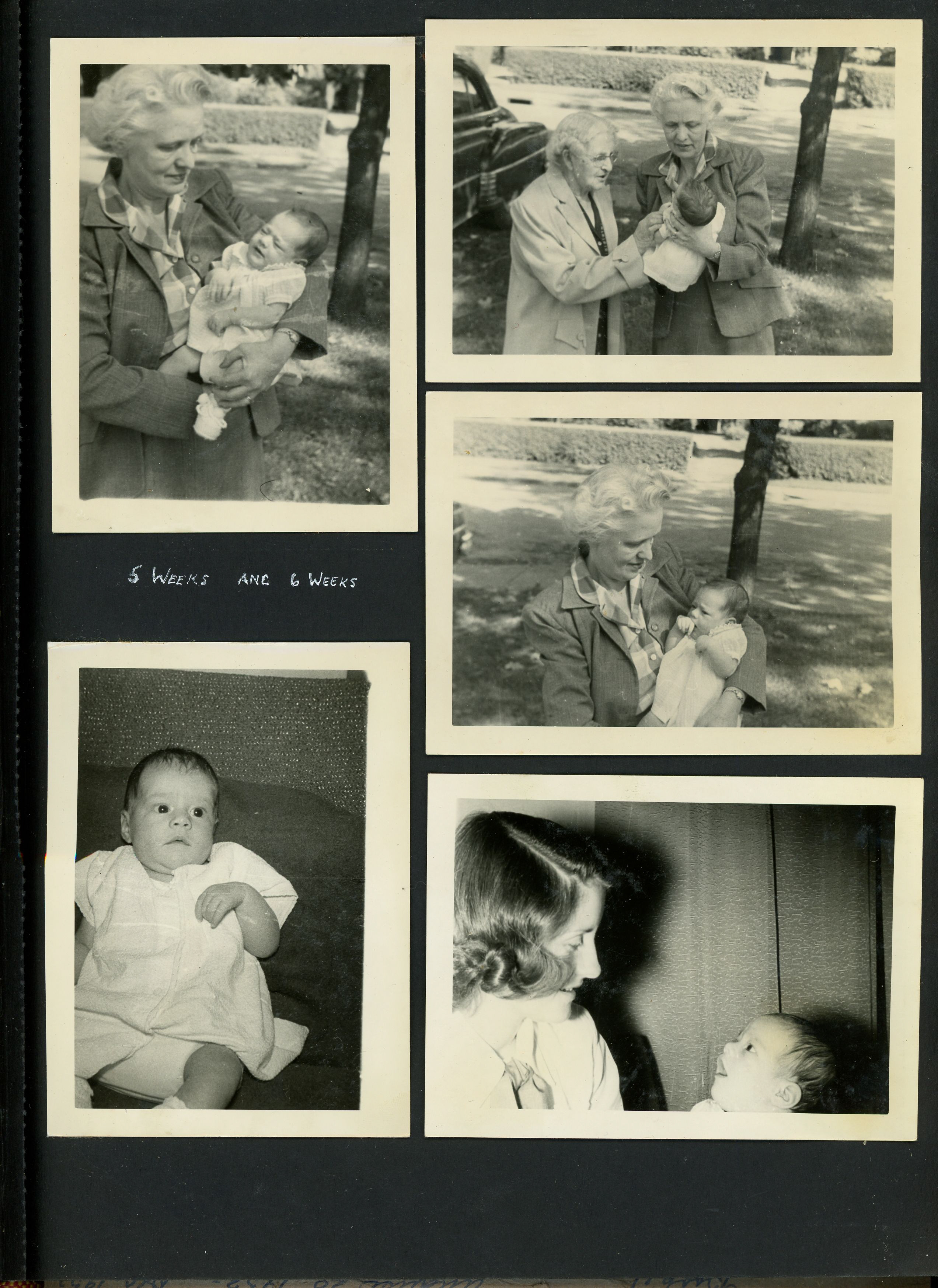 newspaper clipping - newspaper clipping - newspaper clipping - newspaper clipping - newspaper clipping - newspaper clipping - 