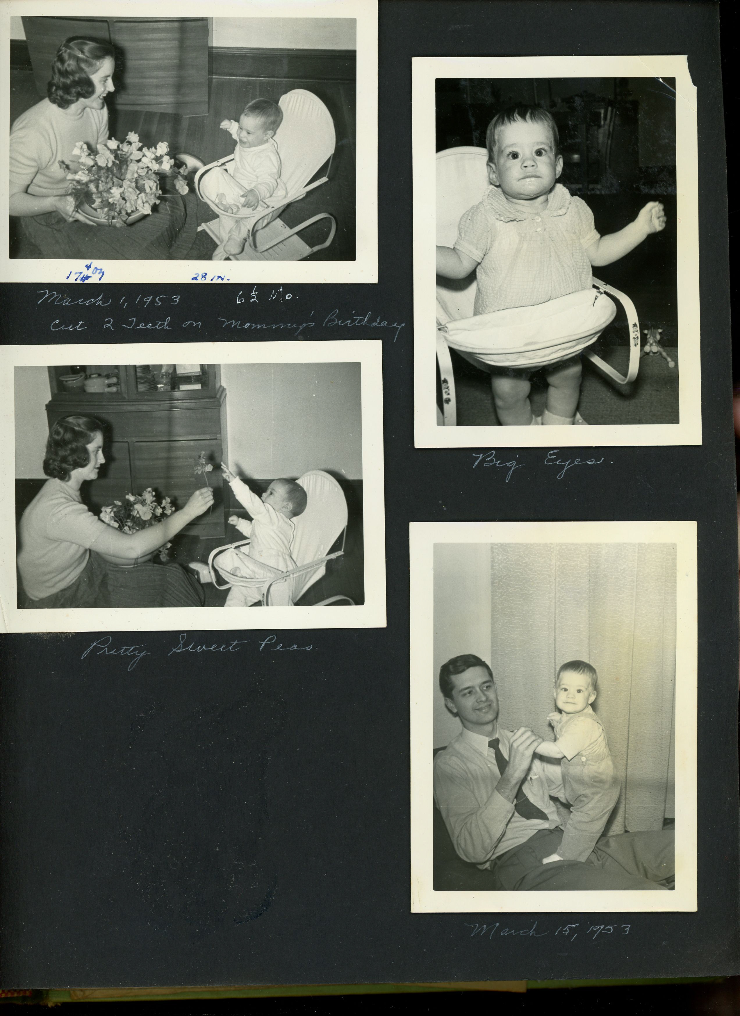 newspaper clipping - newspaper clipping - newspaper clipping - newspaper clipping - newspaper clipping - newspaper clipping - 