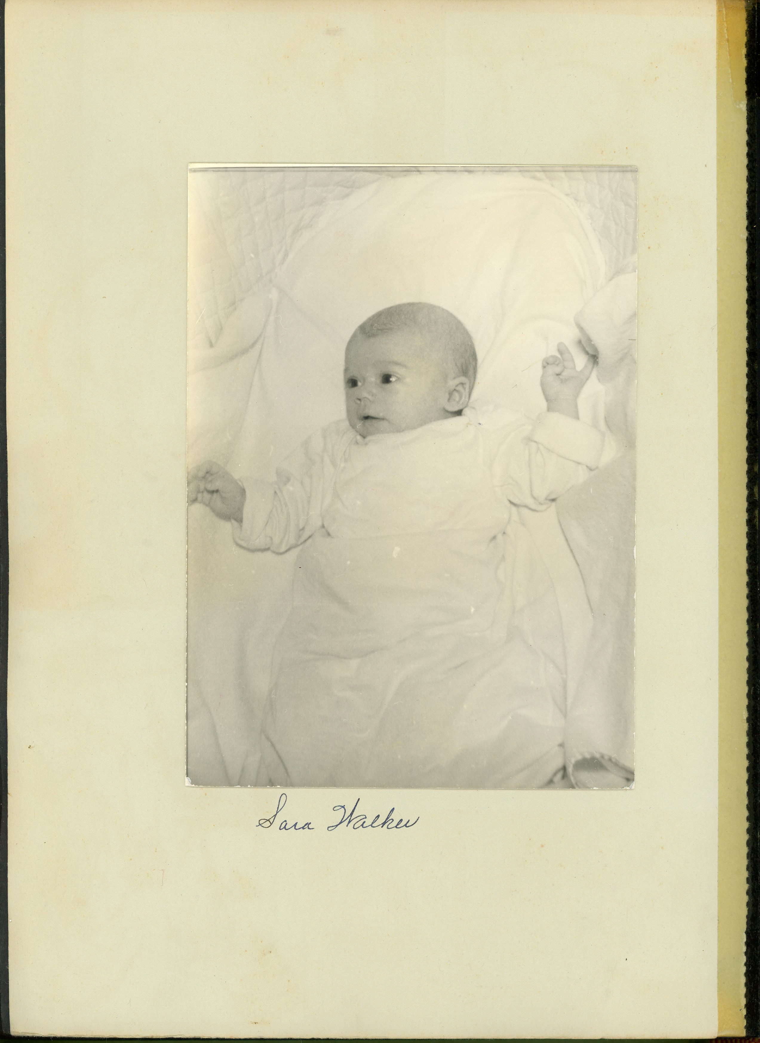 newspaper clipping - newspaper clipping - newspaper clipping - newspaper clipping - newspaper clipping - newspaper clipping - 