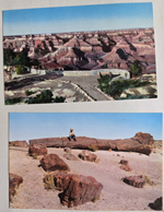 postcards - Grand Canyon, Petrified Forest