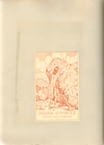 Knott's Berry Farm - Indian Symbols origin and meaning