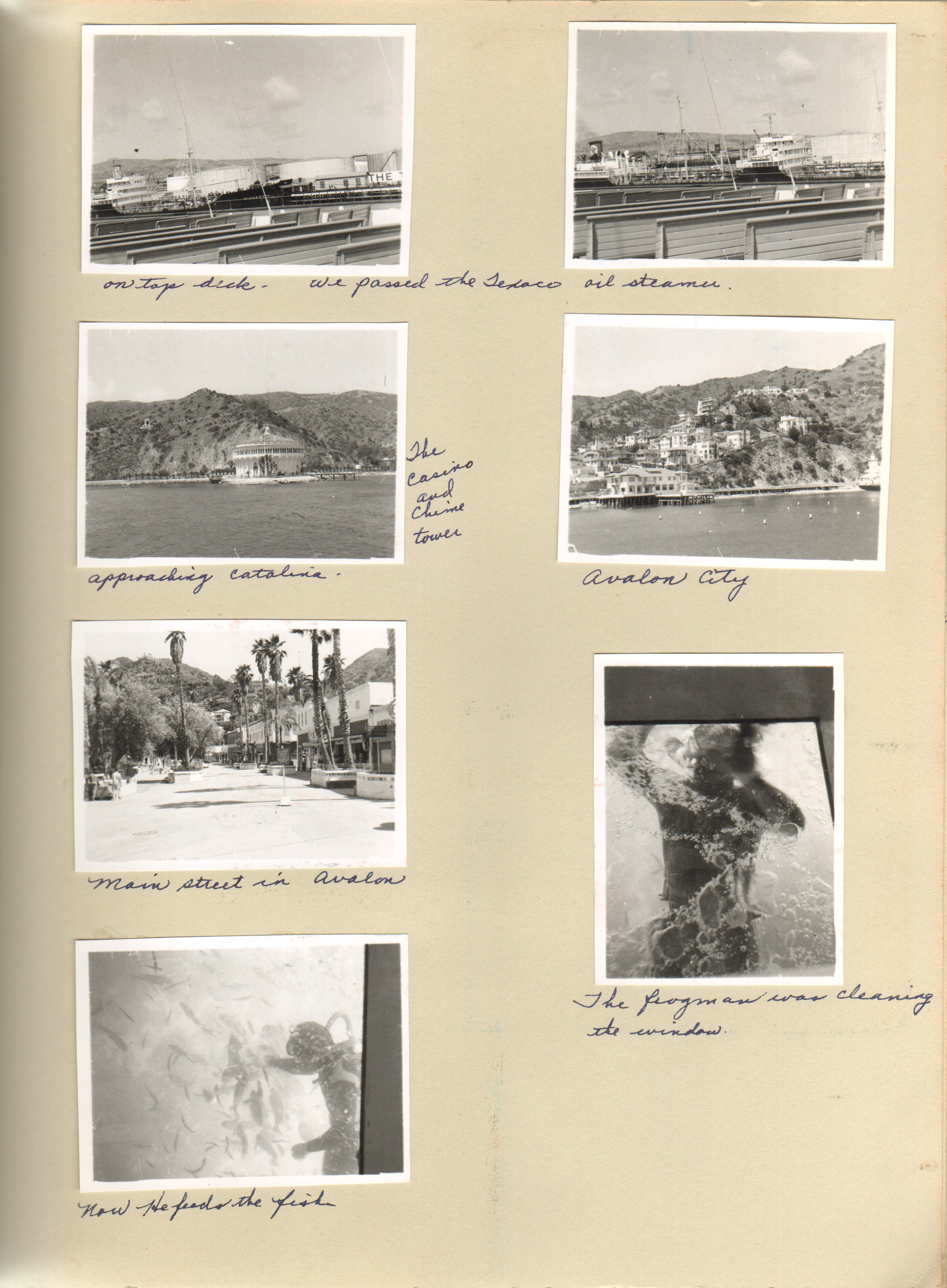 from boat - Texaco oil steamer, Catalina, frogman, Avalon City