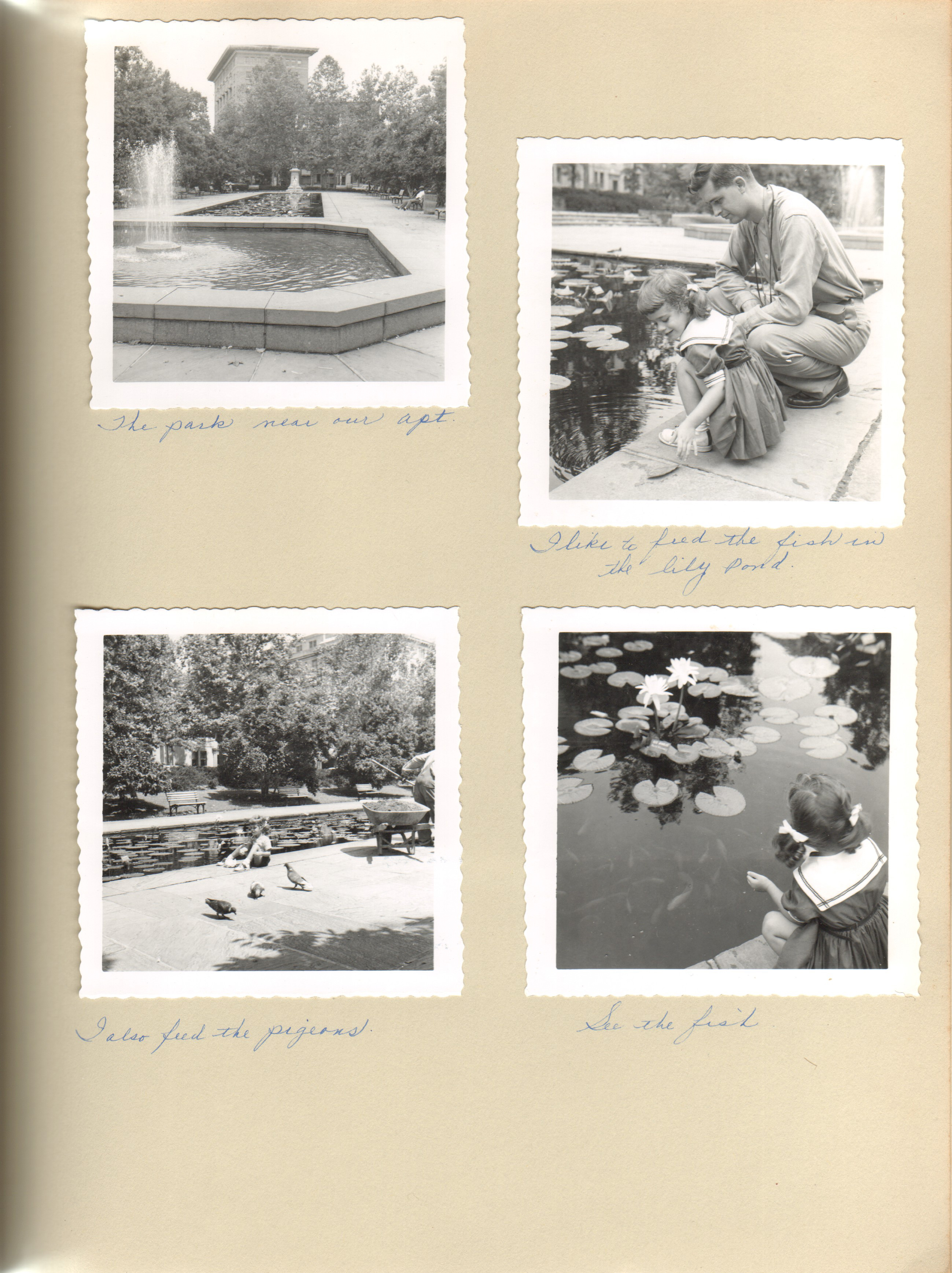 Washington DC park - john Susan feeding fish and pigeons