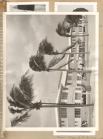 Hollywood Beach - Neptune Apts 8x10