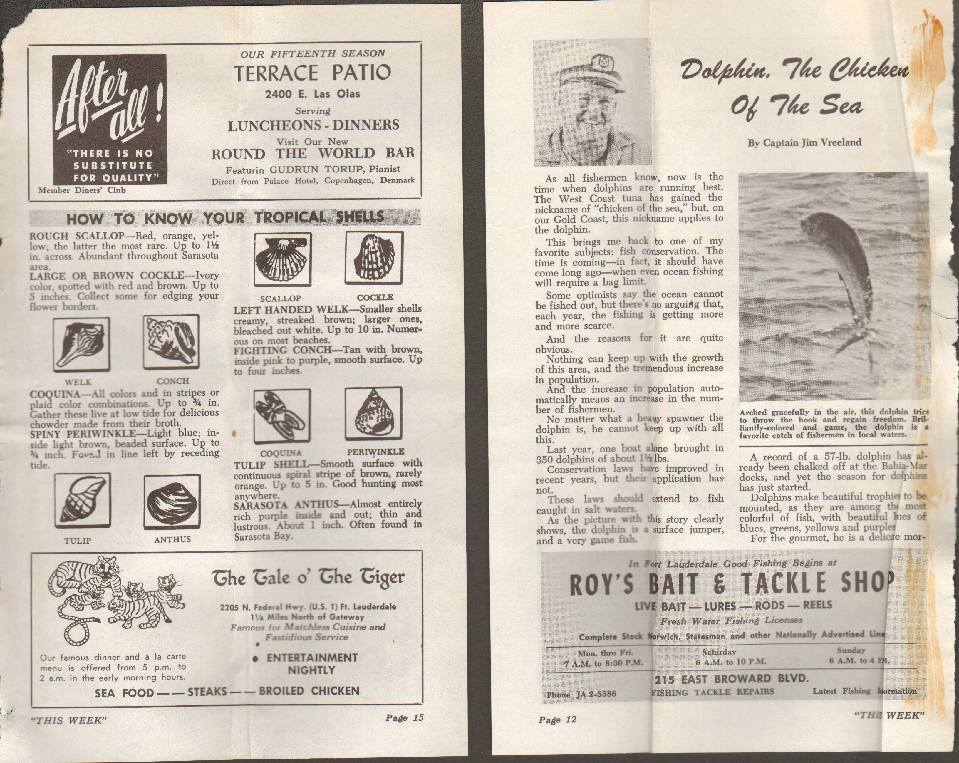 How to know your tropical shells / Dolphin, the chicken of the sea