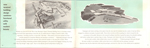 Weir Cook Municipal Airport new terminal dedication booklet