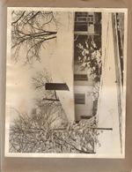 6122 Carrollton in snow 8x10