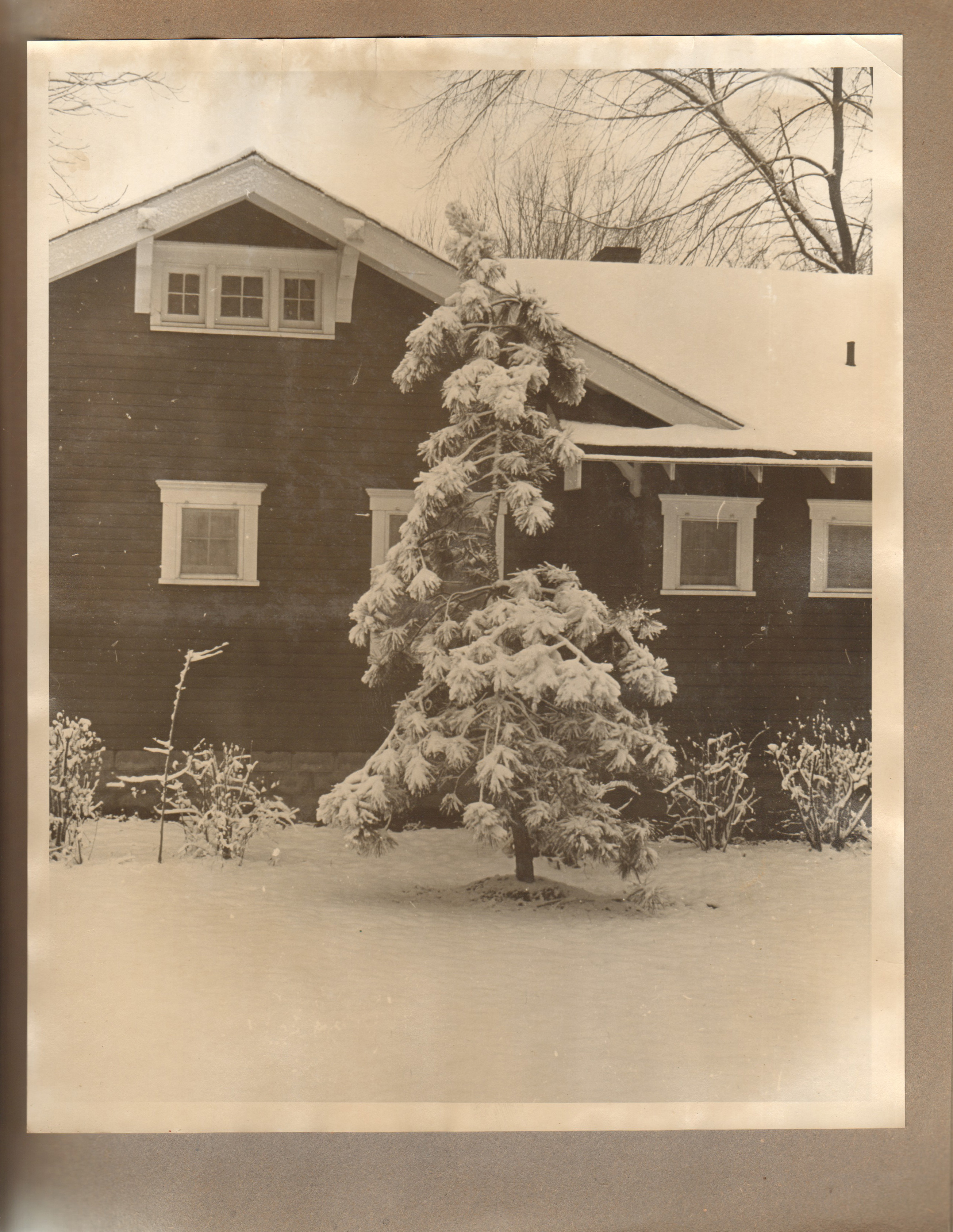 6122 Carrollton yard in snow 8x10