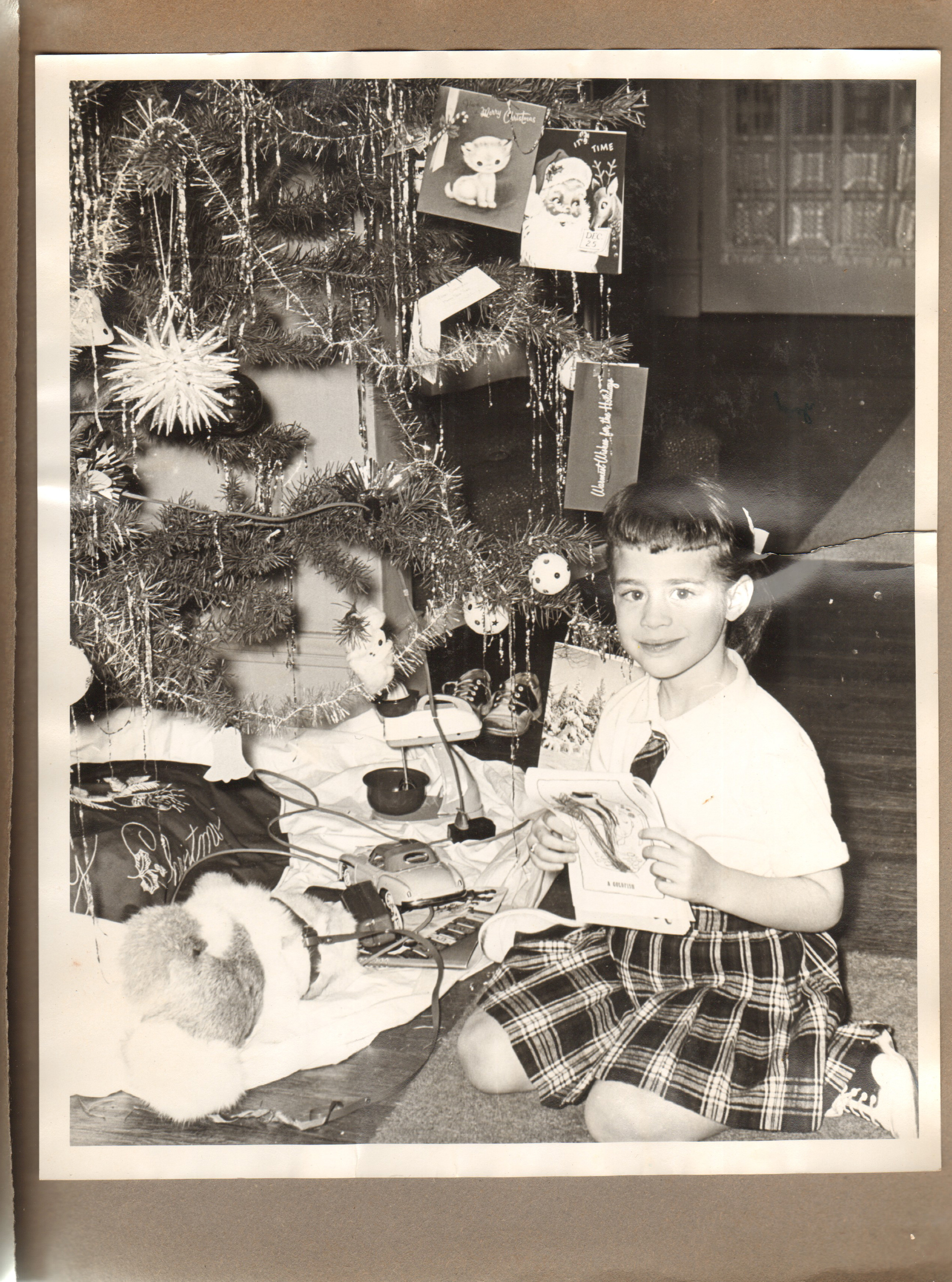Susan 6122 Christmas tree 8x10
