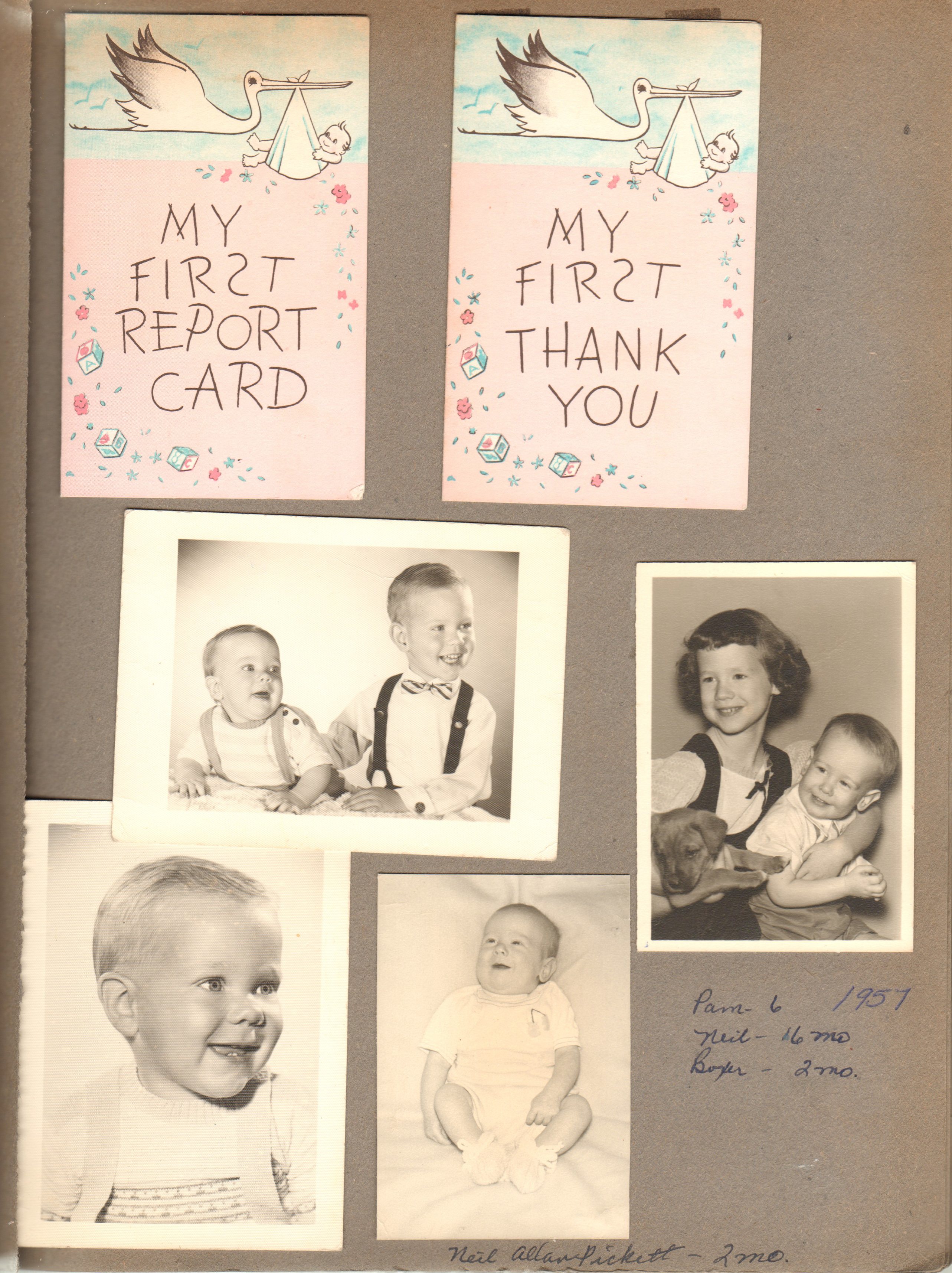 Pam, Neil, Boxer - Neil Allan Pickett - 2 mo.