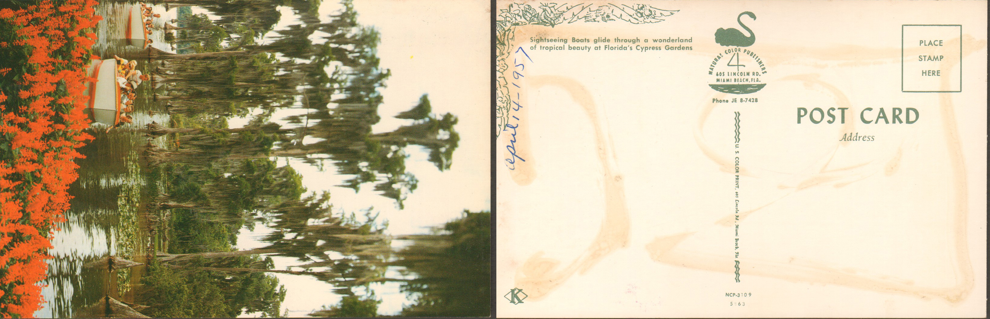 Cypress Gardens postcard - Sightseeing Boats