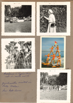 Cypress Gardens - Vonnie. Platforms in tree used in movies and TV. 