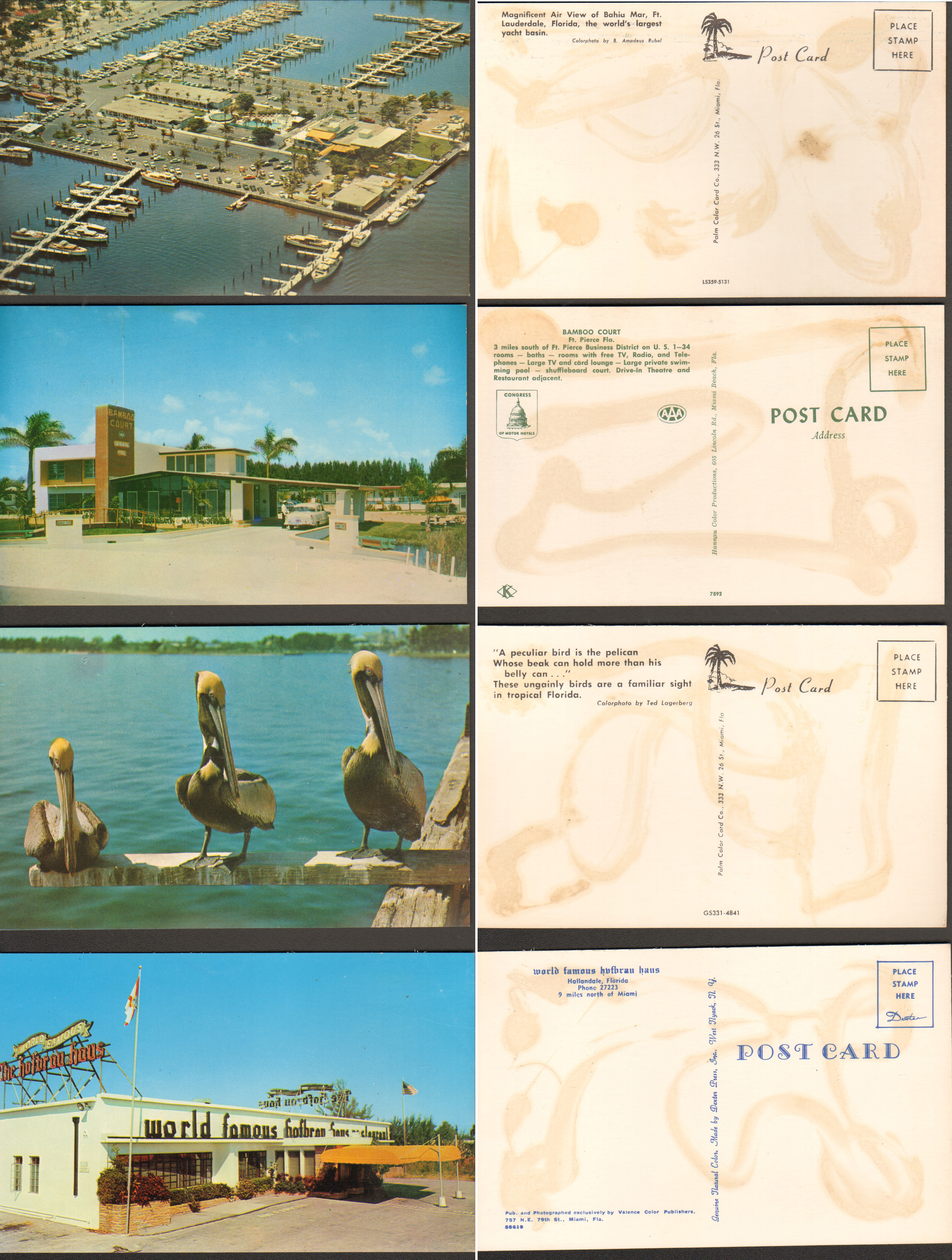 postcard - Air View Bahia Mar Ft Lauderdale. Bamboo Court Ft Pierce. Pelicans. World Famous Hofbrau Haus Hallandale Florida.