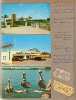 Postcards - Bamboo Court, Hofbrau restaurant, Pelicans. Carib Theatre tickets Miami Beach. Boulevard Drive In Theatre tickets North Miami Beach
