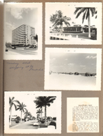 Shopping at Ft Lauderdale. Beach with cabana. Palm lined street. Traveler's Tree clipping.