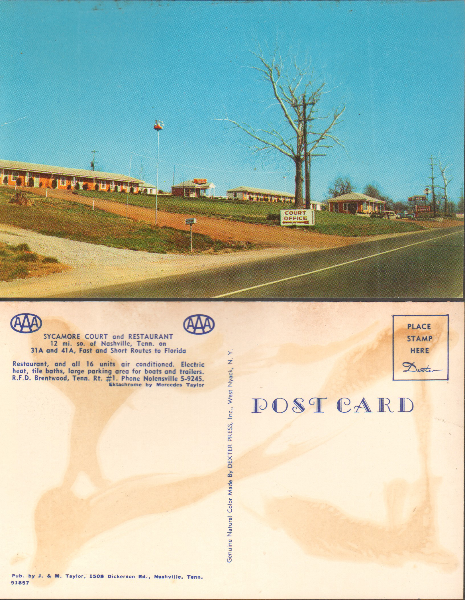 Sycamore Court and Restaurant, Nashville, TN postcard