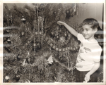 Susan Christmas tree 8x10