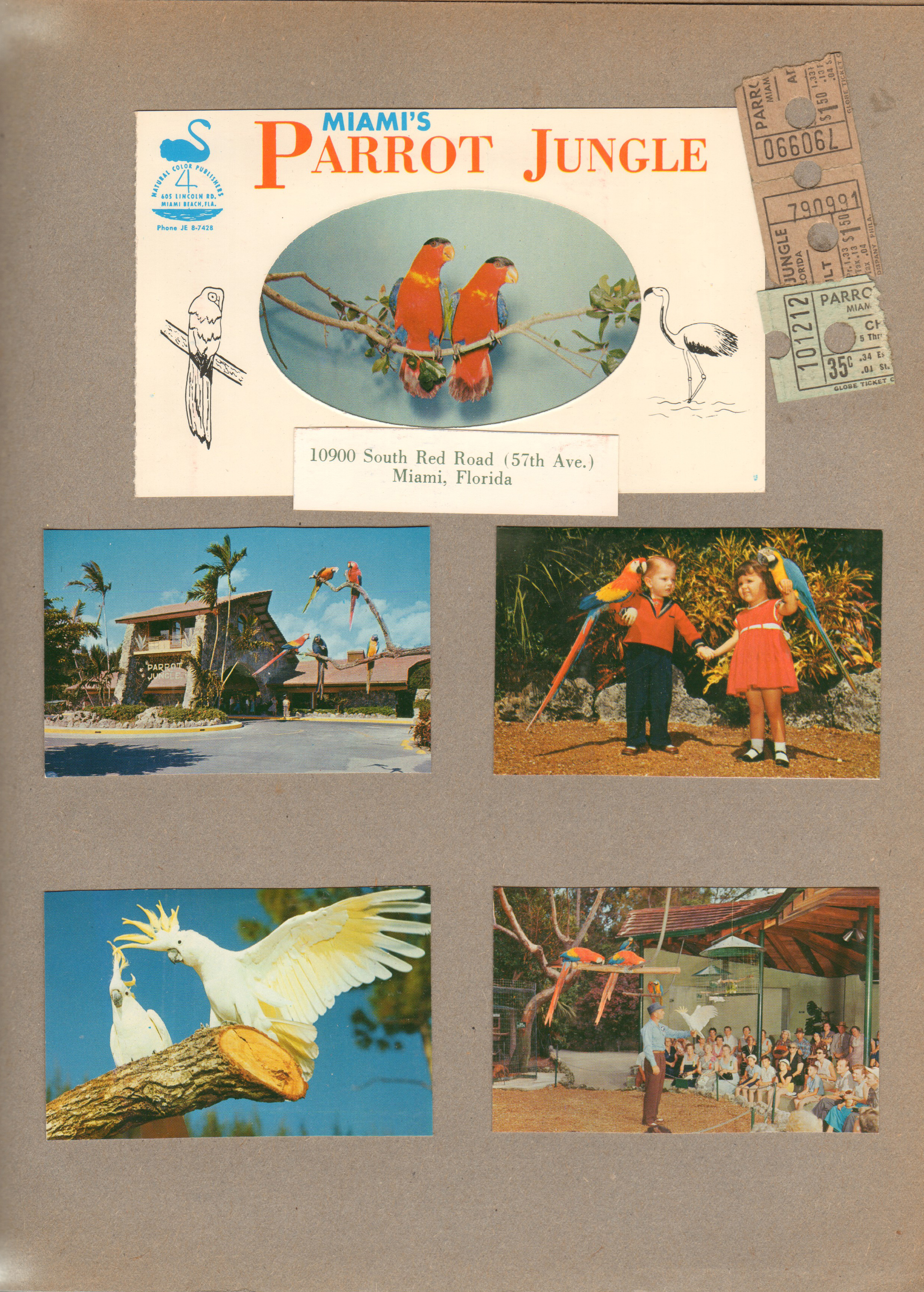 Miami's Parrot Jungle cards and tickets