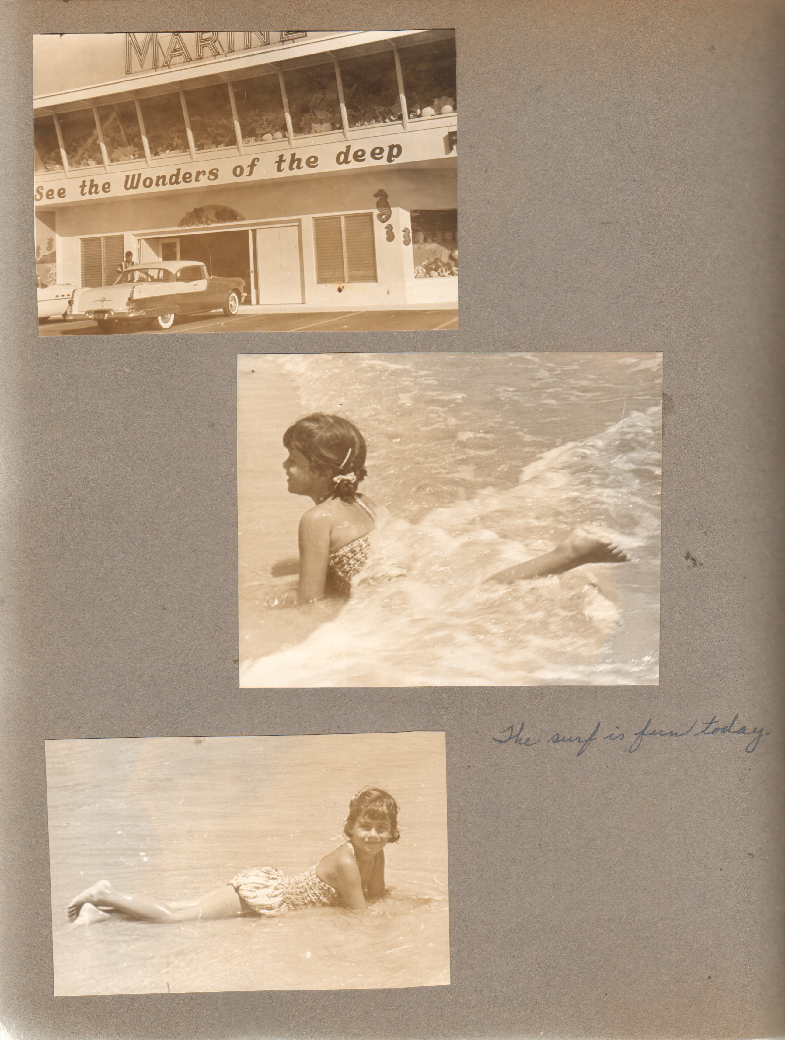 Florida -  Shell shop. Susan in surf