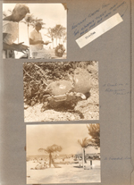 Florida - Hollywood Beach - Neptune Kentucky Derby pool ticket. crab on a Portuguese man-o-war. Crowded beach