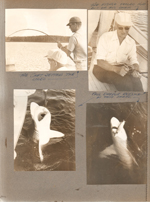 Florida -  The Fishing Trip -  The capt setting the lines. Paul Dreyer reeling in a shark