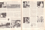 NAFI Bombsight newsletter